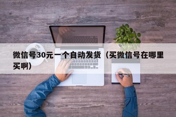 微信号30元一个自动发货（买微信号在哪里买啊）