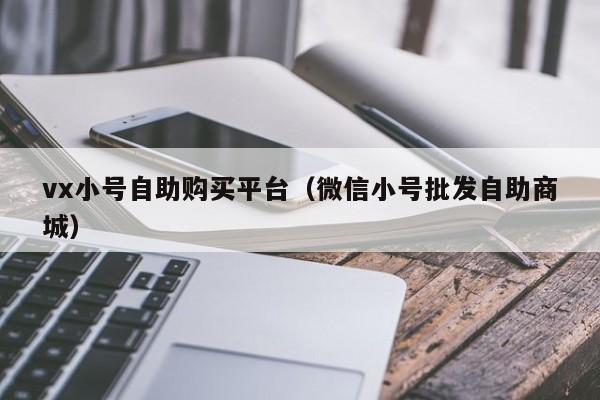 vx小号自助购买平台（微信小号批发自助商城）