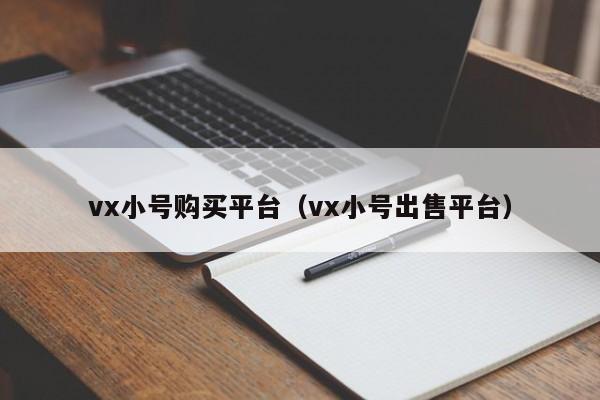 vx小号购买平台（vx小号出售平台）