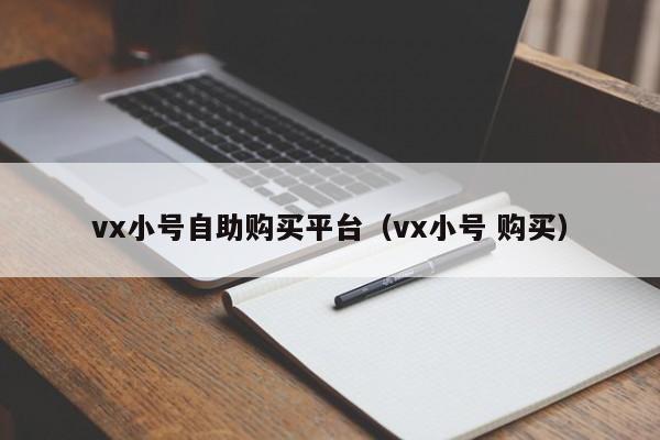 vx小号自助购买平台（vx小号 购买）