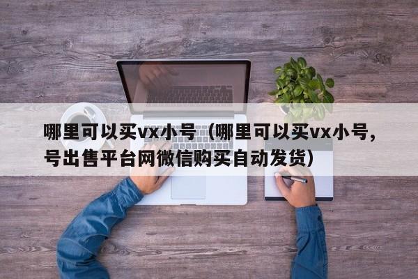 哪里可以买vx小号（哪里可以买vx小号,号出售平台网微信购买自动发货）