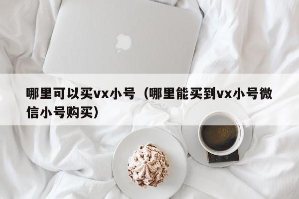 哪里可以买vx小号（哪里能买到vx小号微信小号购买）